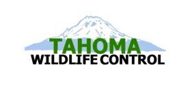 Tahoma Wildlife Control
